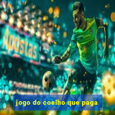 jogo do coelho que paga